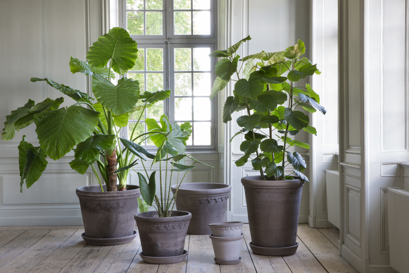 Flora RAW Grey sammen med andre Bergs Potter